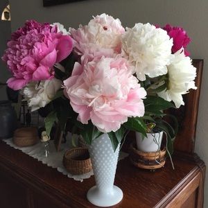 Meet your Posher, Patti